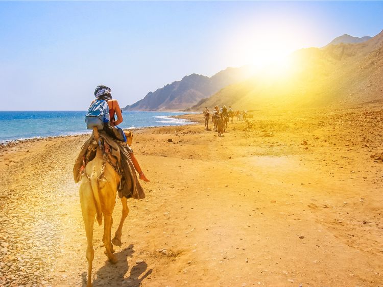 Top Must-Do Activities in Egypt